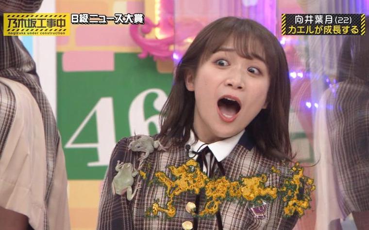乃木坂46必看节目！《乃木坂工事中》ep308瞬间引爆你的青春热血