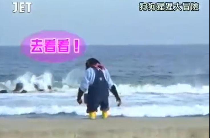 《狗狗猩猩大冒险》最新一期超爆笑，哪里可以在线观看？