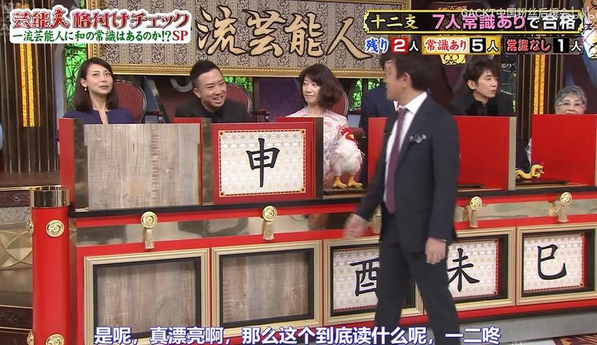 火爆综艺节目！日本女嘉宾现场爆笑揭秘生活真相